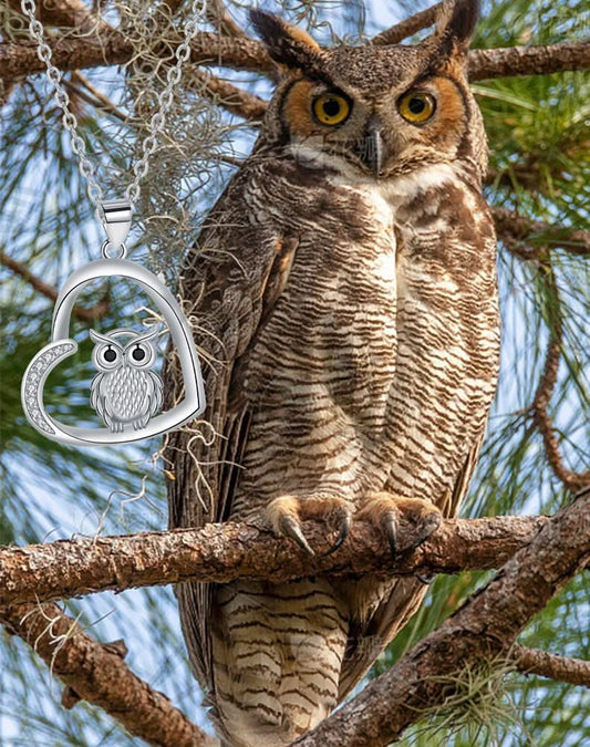 Women's Fashion Owl Pendant Necklace - STRAVAÉ
