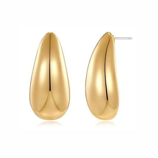 🎁 Golden Dewdrop Earrings (100% off)
